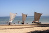 Ifaty (Madagascar) - Pirogues  voile