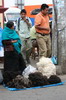 Mexique - San Cristobal de las Casas - Vendeuse de laine